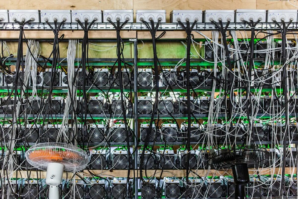 Контейнер для майнинга. Майнеры в иркутске. Майнинг ферма antminer. Майнинг ферма асики. Иркутский майнинг.