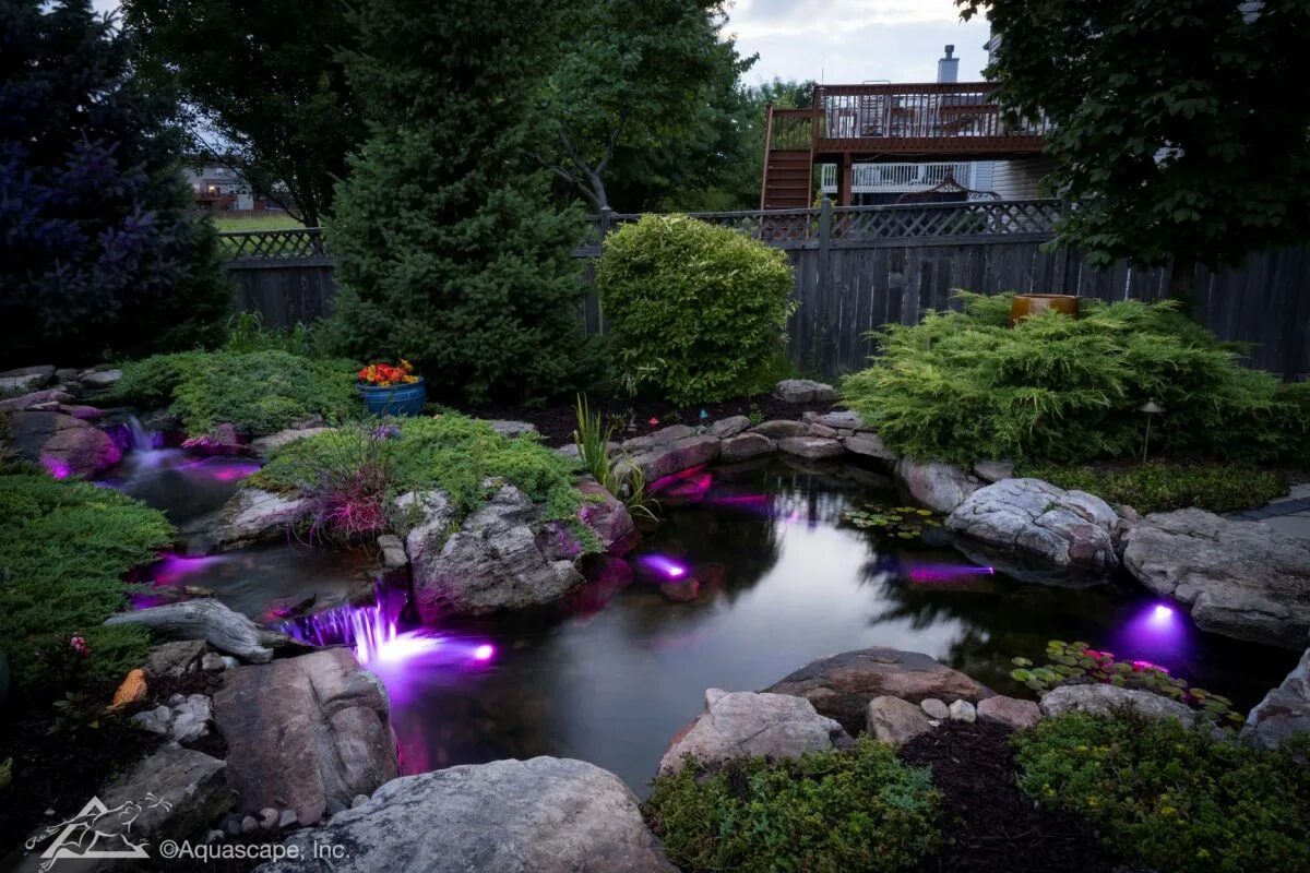 Подсветка пруда. Декоративное освещение водоема. Подсветка пруда в саду. Освещение пруда на даче. Освещенность водоемов