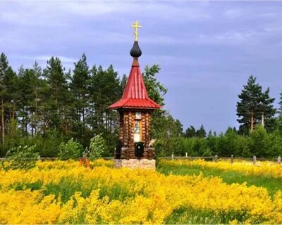 Званное сегодня