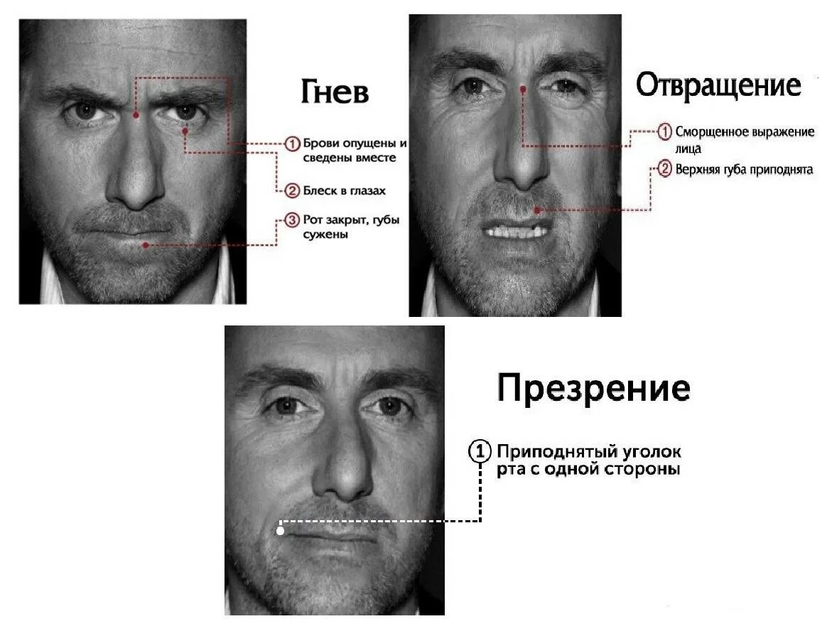 Выражение лица предложения