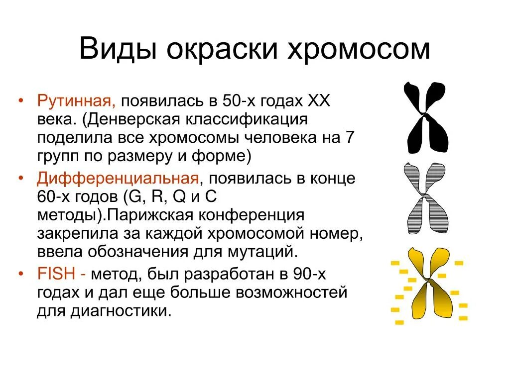 Изменение окраски хромосом. Методы дифференцированного окрашивания хромосом. Метод дифференциального окрашивания хромосом. Рутинный метод окрашивания хромосом. Кариотип методом дифференциальной окраски хромосом.