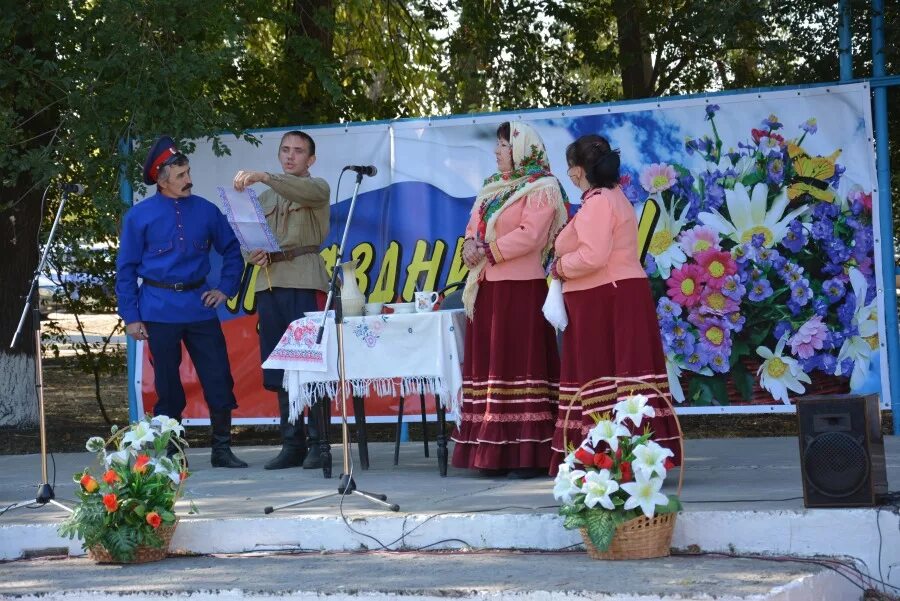 Погода в вислом семикаракорский район. Хутор Золотаревка Семикаракорский район. Хутор Золотаревка Ростовская область. Х Золотаревка Семикаракорский район. Кузнецовское сельское поселение Семикаракорского района.