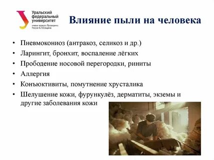 Влияние пыли на человека