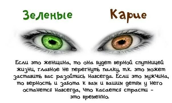 Зеленые глаза характеристика мужчины. Зеленый цвет глаз характеристика. Характеристика человека по цвету глаз. Характеристика глаз человека. Люди с зелеными глазами характеристика.