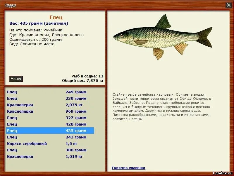 Рыбалка 3 красноперка. Русская рыбалка 3 Волга Елец. Русская рыбалка рыбы. Русская рыбалка 3 рыбы. Русская рыбалка 3 красивая меча красноперка.