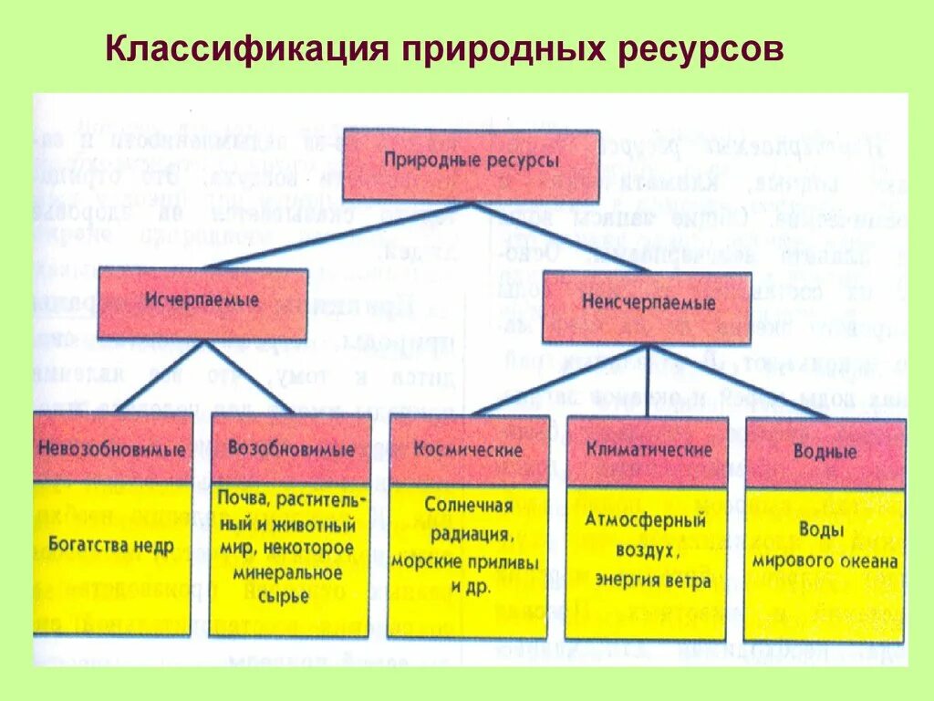 К каким природным ресурсам относятся почвы. Классификация природных ресурсов. Классификация природных ресурсов таблица. Естественная классификация. Классификация природных ресурсов лекция.