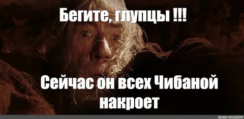 Поверили глупцы другим передают старухи