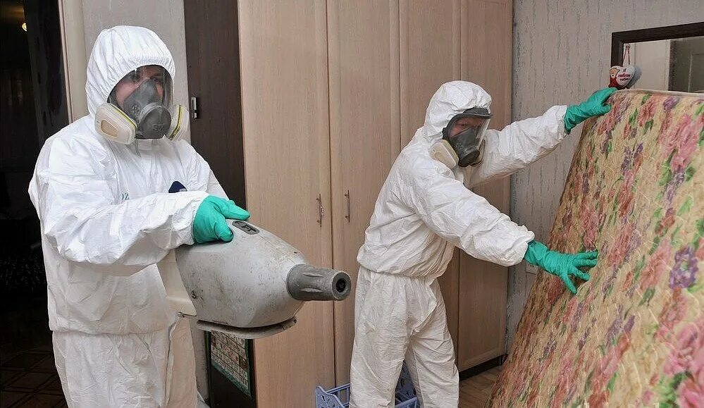 мастер травли. мастер травли. мастер травли. дезинсекция от клопов в квартире. дезинсекция тараканов.