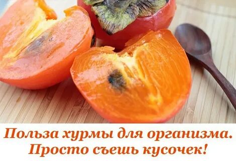 Хурма мочегонная