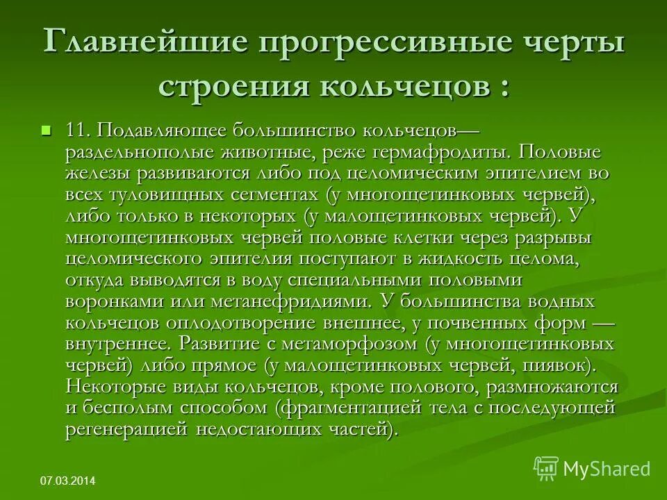 Животные прогрессивные черты строения. Какими прогрессивными чертами. Какими прогрессивными чертами. Прогрессивные черты млекопитающих по сравнению с пресмыкающимися. Черты прогрессивной эволюции млекопитающих.