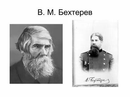 Бехтерев википедия