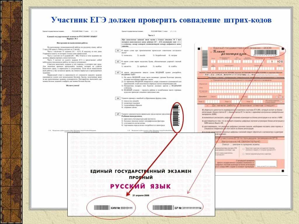 Информация о заполнении бланков ЕГЭ. Бланки ЕГЭ совпадение штрих кодов. Первичная обработка бланков ЕГЭ включает. Коды ЕГЭ. Информация должна быть проверенной