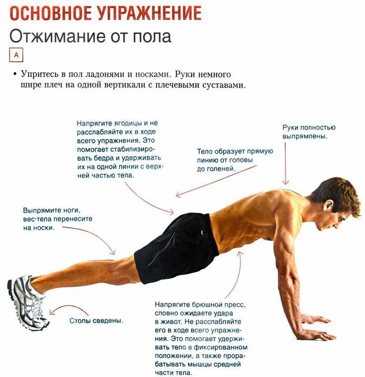 Какие тренировки для мышц