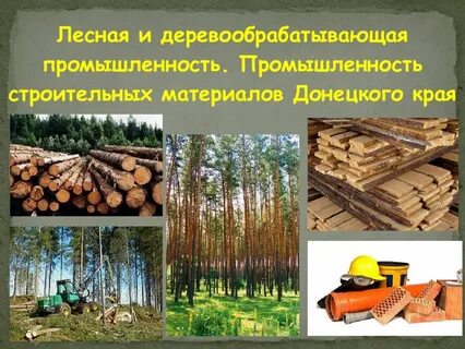 Какие виды производства объединяет лесная промышленность