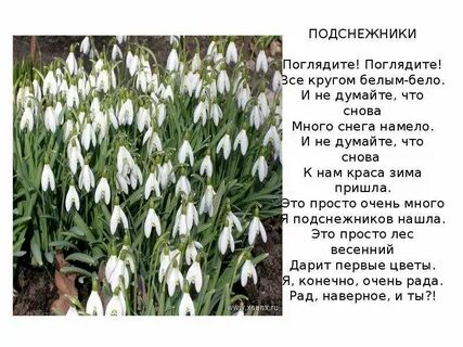 Сочинение подснежник 4 класс планета знаний
