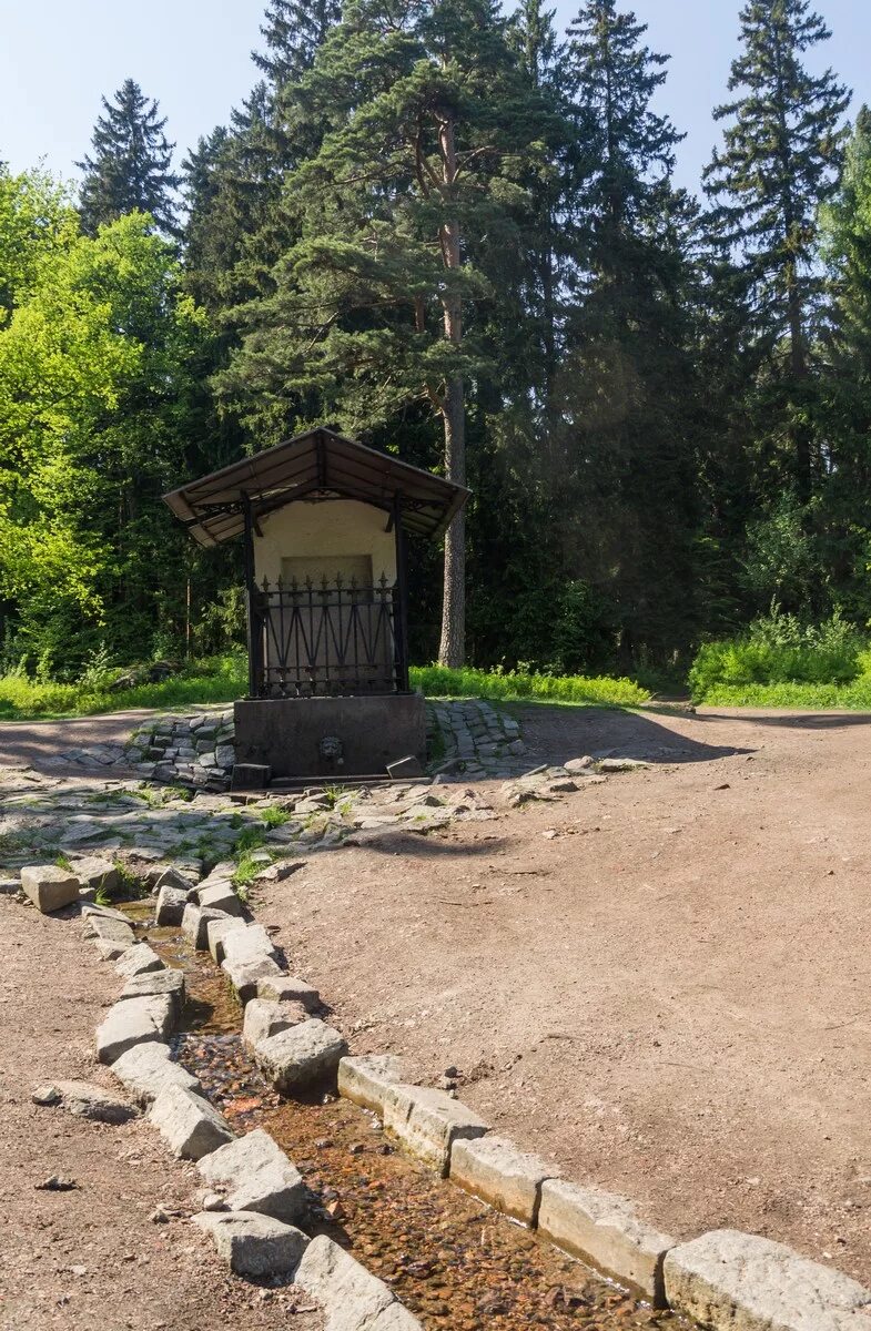 Цена билета в монрепо выборг входного. Парк Выборг Выборг Монрепо. Парк Монплезир Выборг. Музей заповедник Монрепо. Выборг скальный парк.