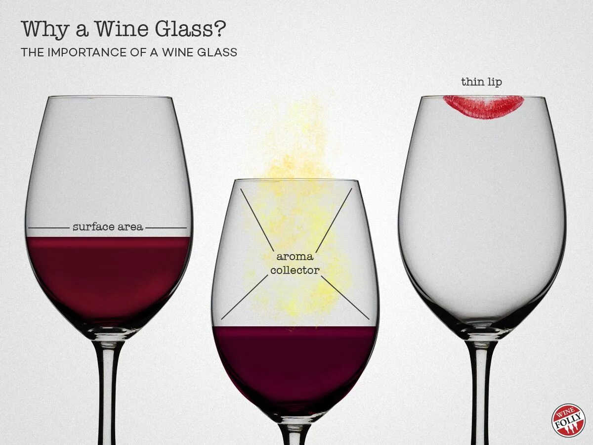 Why why wine. Бокалы для вина wine folly. бокалы для дегустации вина профессиональные. винный бокал для дегустации. дегустационный бокал для спирта.