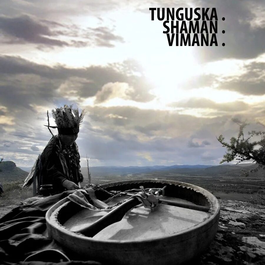 Tunguska Electronic Music. Treat обложки альбомов Tunguska. Shepherd's Wind - Tunguska Electronic Music Society. Shaman электронная музыка.