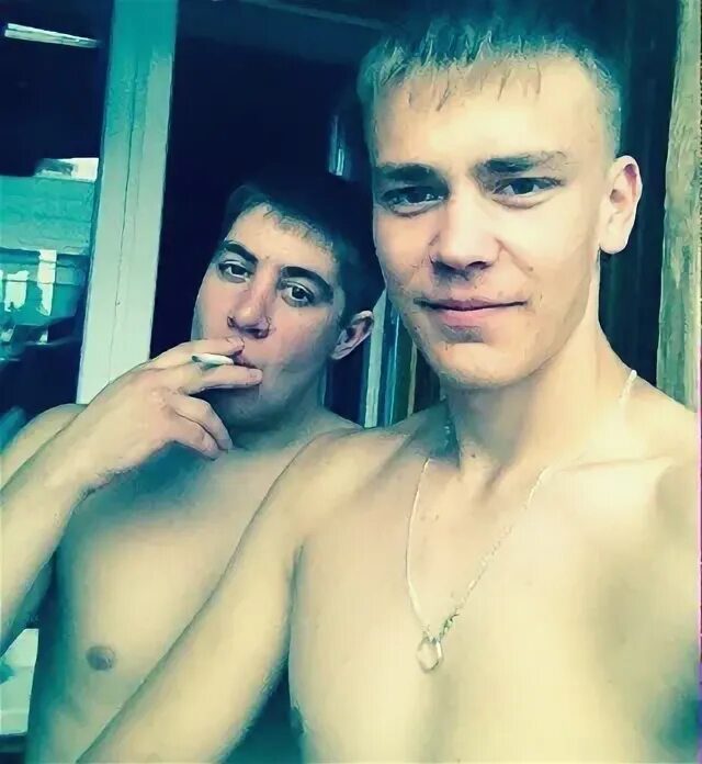 Лама пермь. Лама пермь