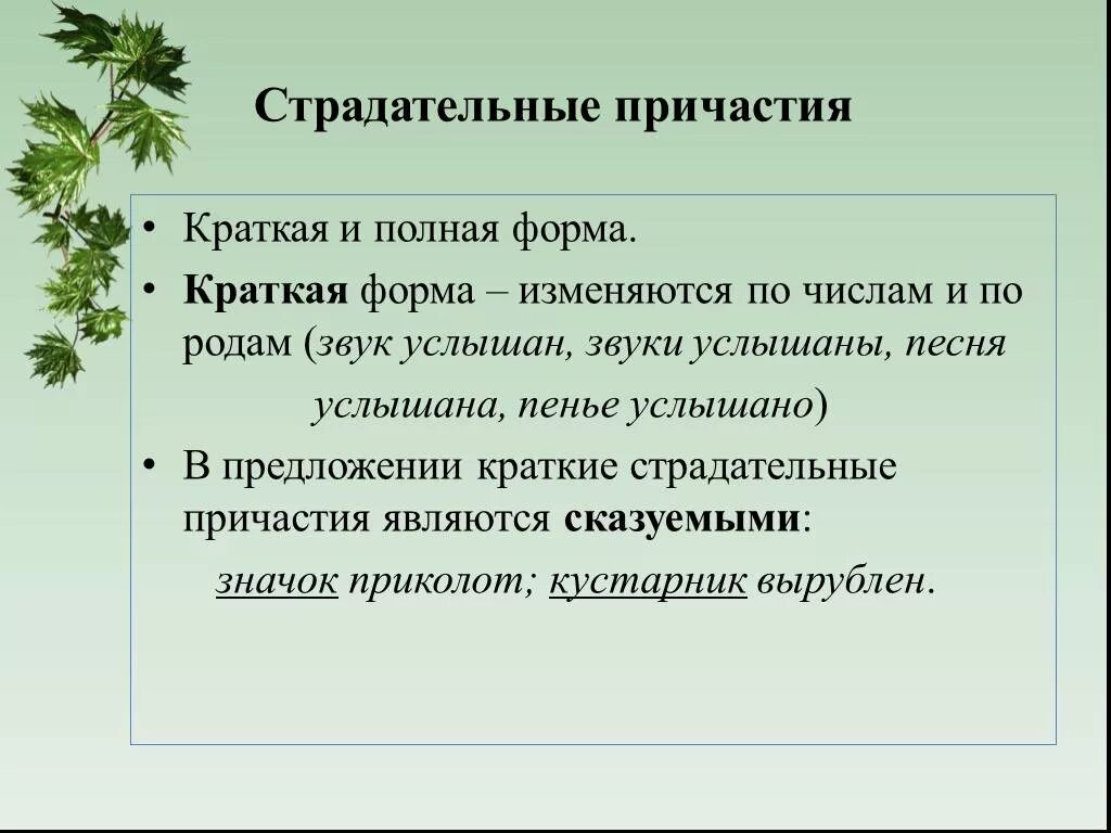 Краткая форма страдательного причастия. Краткие и полные сострадательные причастия. Краткие и полные СТРАДАТЕЛЬНЕ Причастие. Краткие стрыдатеотные прич.