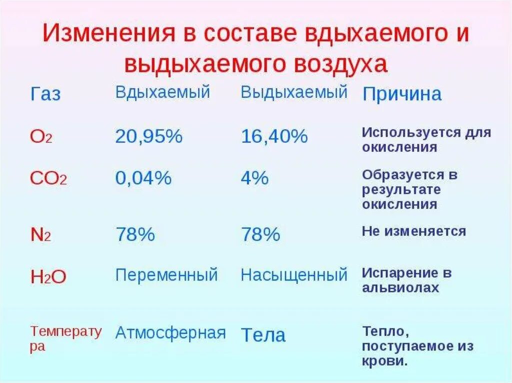 Состав вдыхаемого и выдыхаемого воздуха. Состав выдыхаемого воздуха человеком. Изменение состава воздуха при дыхании. Изменения состава воздуха при выдохе.