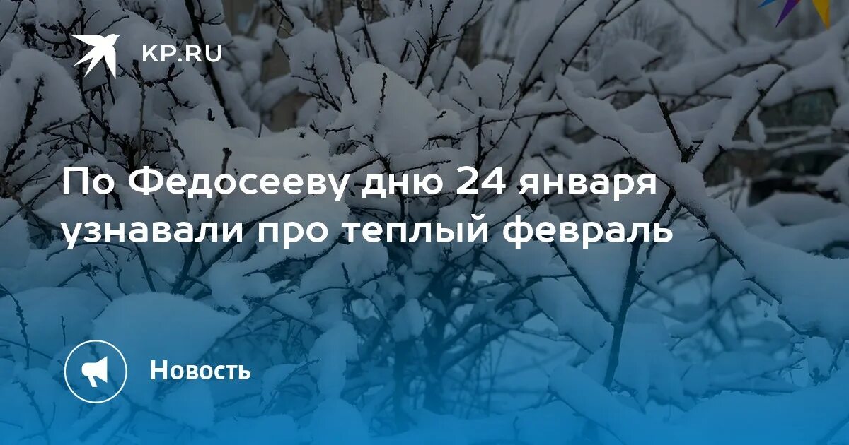 24 04 2025 что делать