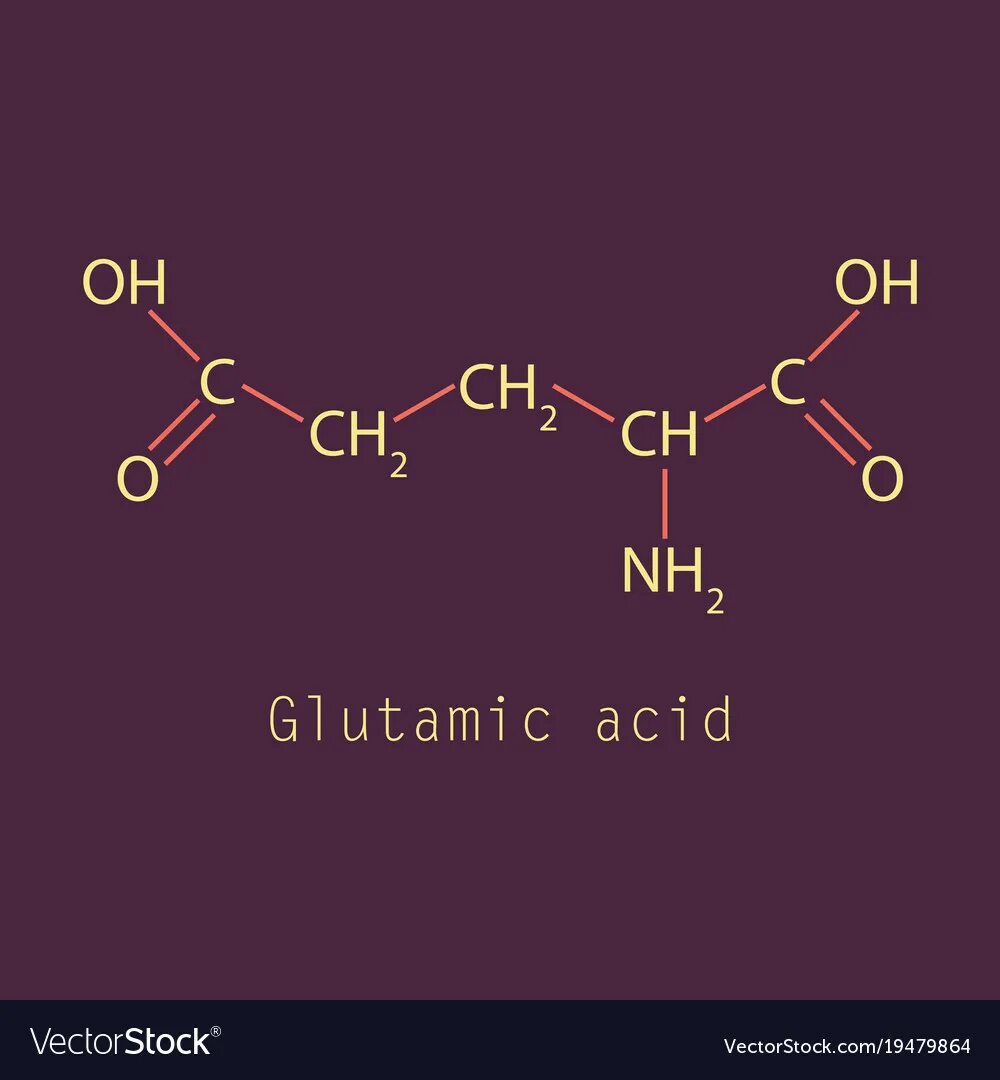 Glutamic acid. Глутаминовая кислота форма выпуска. Glutamic acid. Аминокислоты вектор. Глутамин глутамин.