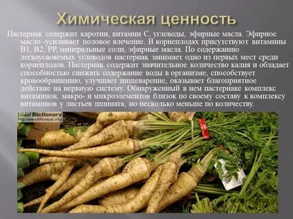 Пастернак овощ польза и вред