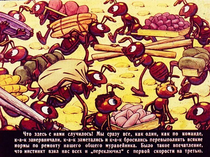 Произведение будь человеком читать. Баранкин муравей. Баранкин будь человеком мирмики. Баранкин будь человеком муравьи. Баранкин будь человеком диафильм.