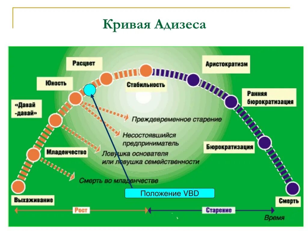 Модели управление жизненного цикла. Модели ЖЦО. Стадии жизненного цикла компании по Адизесу. Модель жизненного цикла Ицхака Адизеса. Ицхак Адизес жизненный цикл компании.