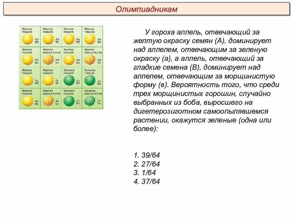 Определите генотип зеленого гладкого гороха. У гороха желтая окраска семян доминирует над зеленой. Задача у гороха желтая окраска семян. Окраска семян гороха. У гороха посевного желтая окраска семян доминирует над зеленой.