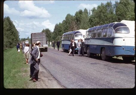 80 автобус москва