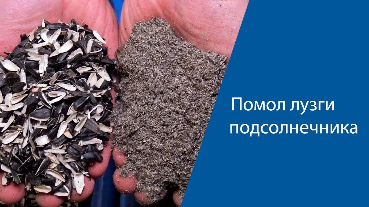 Шелуха как удобрение как применять