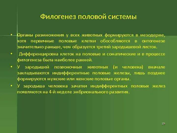 Филогенез органов. Филогенез выделительной и половой систем. Филогенез половой системы позвоночных. Филогенез выделительной системы таблица. Филогенез выделительной системы позвоночных животных.