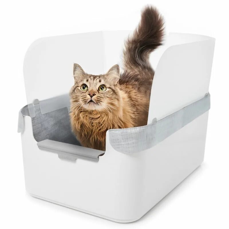 Modkat Litter Box. Кошачий туалет modkat. Туалет для кошек Cat Litter. Лоток для кошек белый. Кот пописал не в лоток