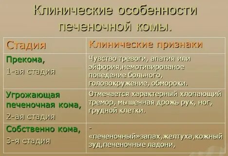 Перечислите признаки комы