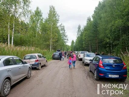 Городище нижний тагил экскурсии график