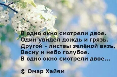 В одно окно смотрели двое омар