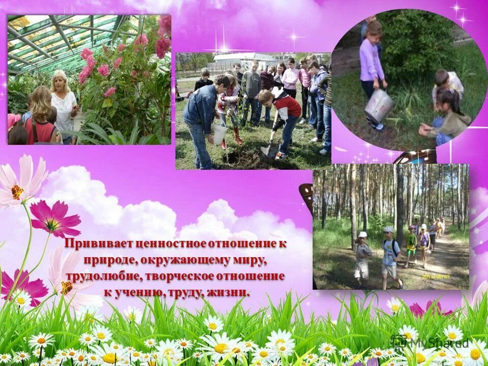 Ценностное отношение детей к природе. Формирование нравственных отношений к природе. Формирование нравственных отношений к природе. Цель экологического воспитания. Формирование нравственных отношений к природе.