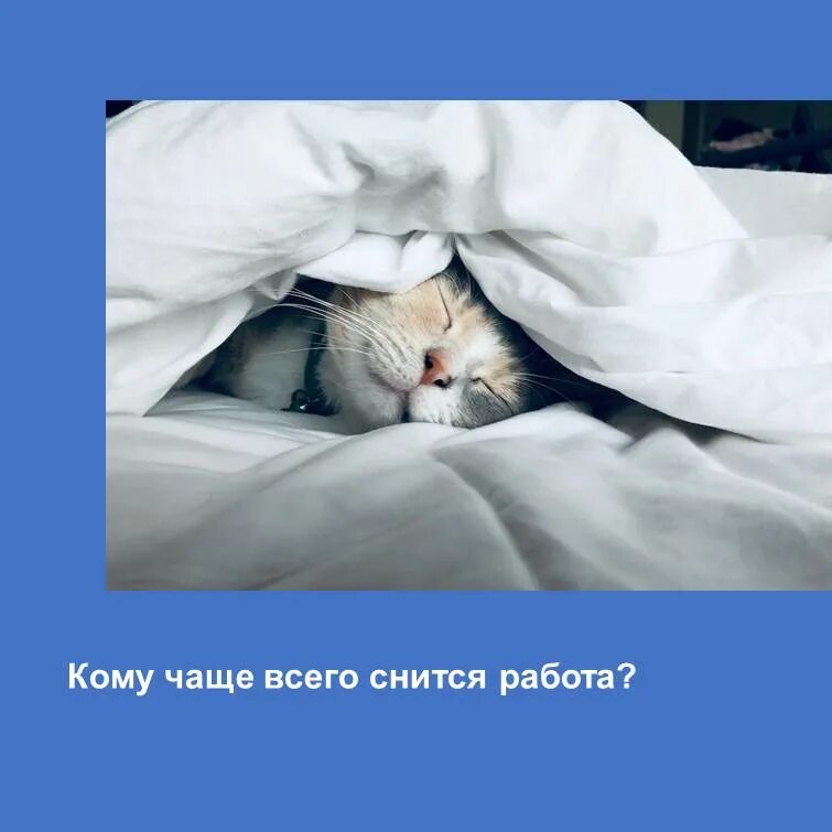 Когда на выходных приснилась работа. Когда на выходных приснилась работа