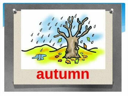 Спотлайт 2 weather