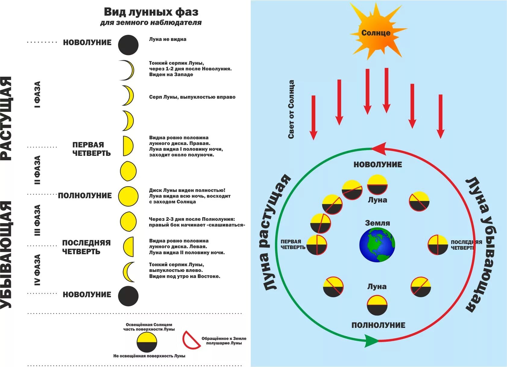 Видит почему через и. Схема фаз лунного цикла. Полный цикл смены фаз Луны. Схема растущей и убывающей Луны. Виды Луны и названия фазы Луны таблица.