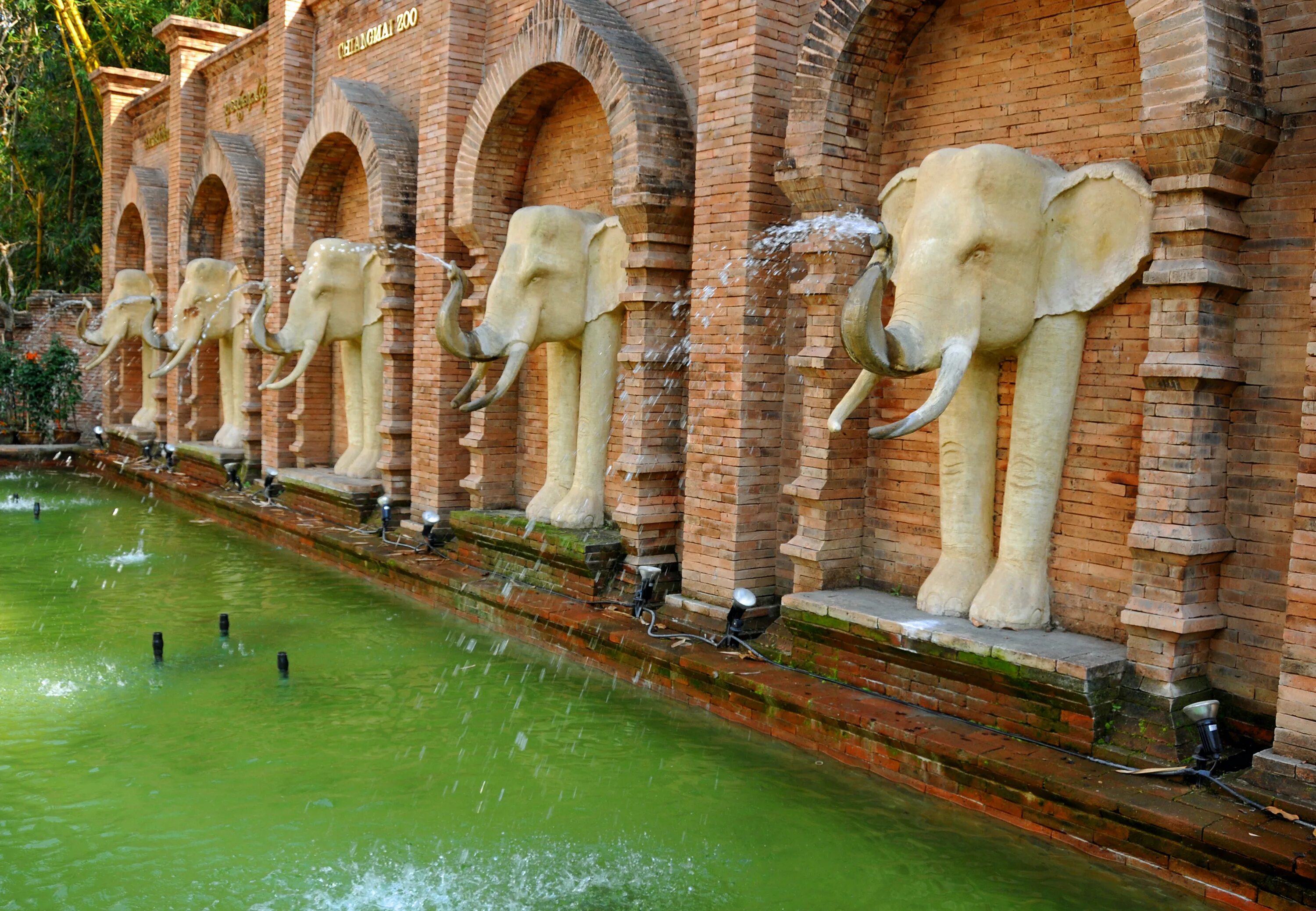 Знаменитый зоопарк. Зоопарк чианг-май (таиланд). chiang mai zoo чиангмай. зоопарки мира. самый лучший зоопарк в мире.