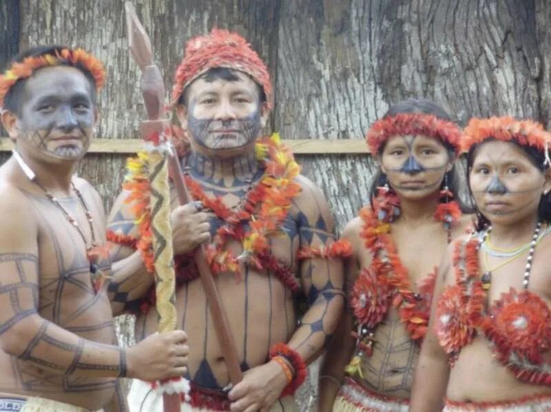 Масаи племя. Индейцы амазонки шингу. Loro tribe. Народ южной америки араваки. Loro tribe.
