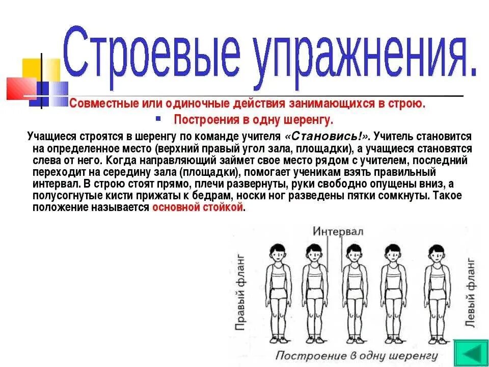 Куда смотрят участники при размыкании строя. Строевые упражнения. Построение в одну шеренгу. Строевые упражнения построение. Построение на физкультуре.