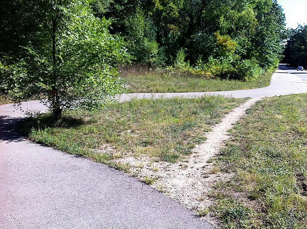 Пролагать тропу. Тропа в горы люди. Экотропа, туристическая тропа, экскурсионная тропа. Деревянные дорожки. Пролагать тропу.