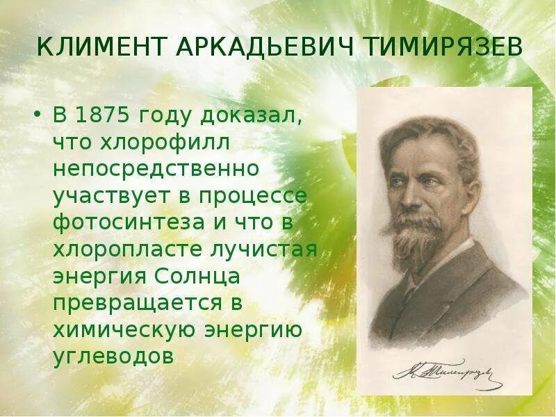Впервые значение хлорофилла установил русский ученый. Тимирязев фотосинтез. Изучение фотосинтеза Тимирязевым.