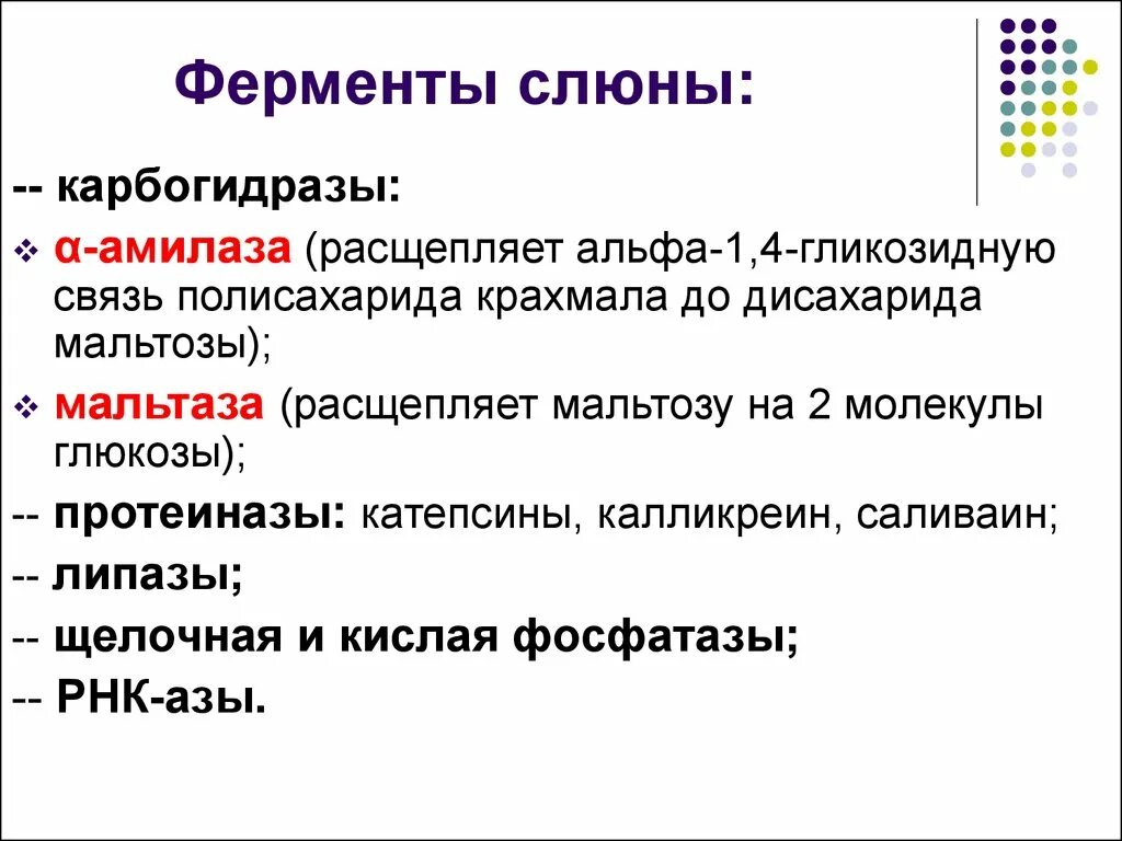 Ферменты слюны человека. Ферменты ротовой жидкости. Ферменты смешанной слюны. A) перечислите основные функции слюны.