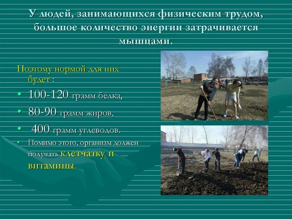 Чем занимаются люди каков их инвентарь
