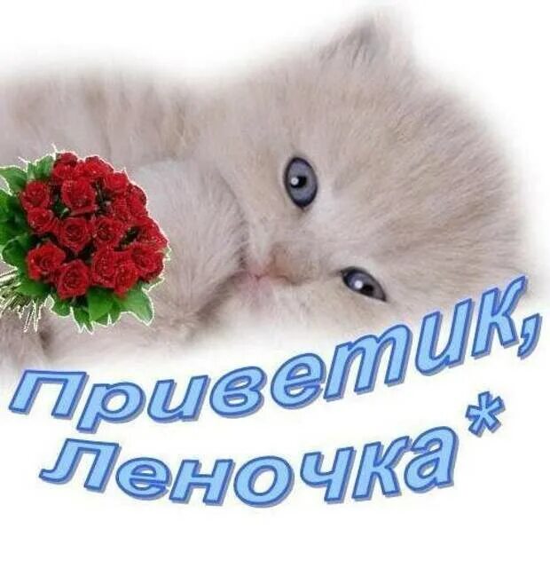 Леночке картинки. Доброе утро Леночка. Доброе утро хеленочька. Открытки с добрым утром Леночка. Добрый день Леночка.